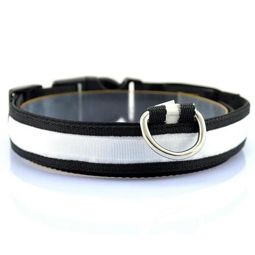 GlowSafe LED Dog Collar – Stress-Free Night Walks, Total Visibility