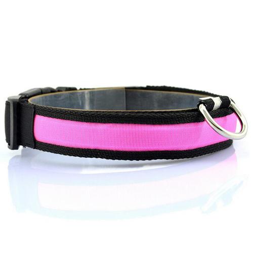 GlowSafe LED Dog Collar – Stress-Free Night Walks, Total Visibility