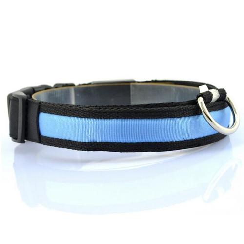 GlowSafe LED Dog Collar – Stress-Free Night Walks, Total Visibility