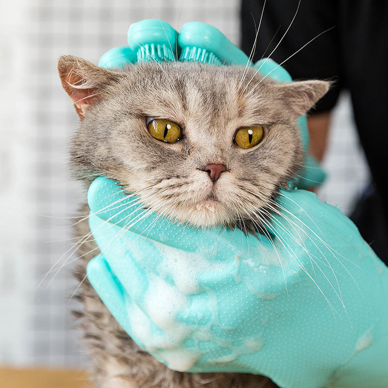 Pet grooming glove