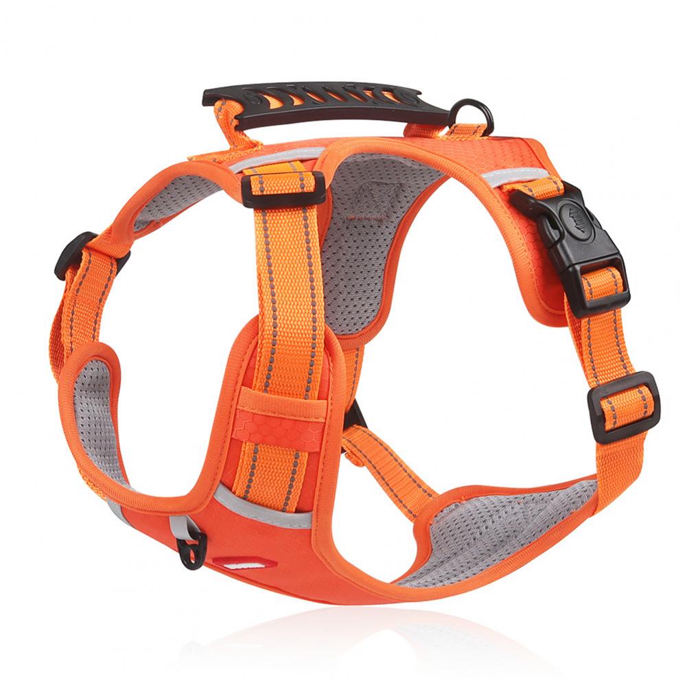 Effortless Walks, Total Control – No-Pull Comfort Harness