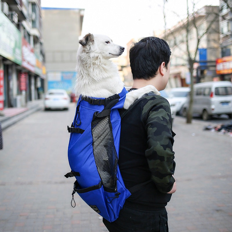 Hands-Free Travel Backpack for Happy, Stress-Free Pets