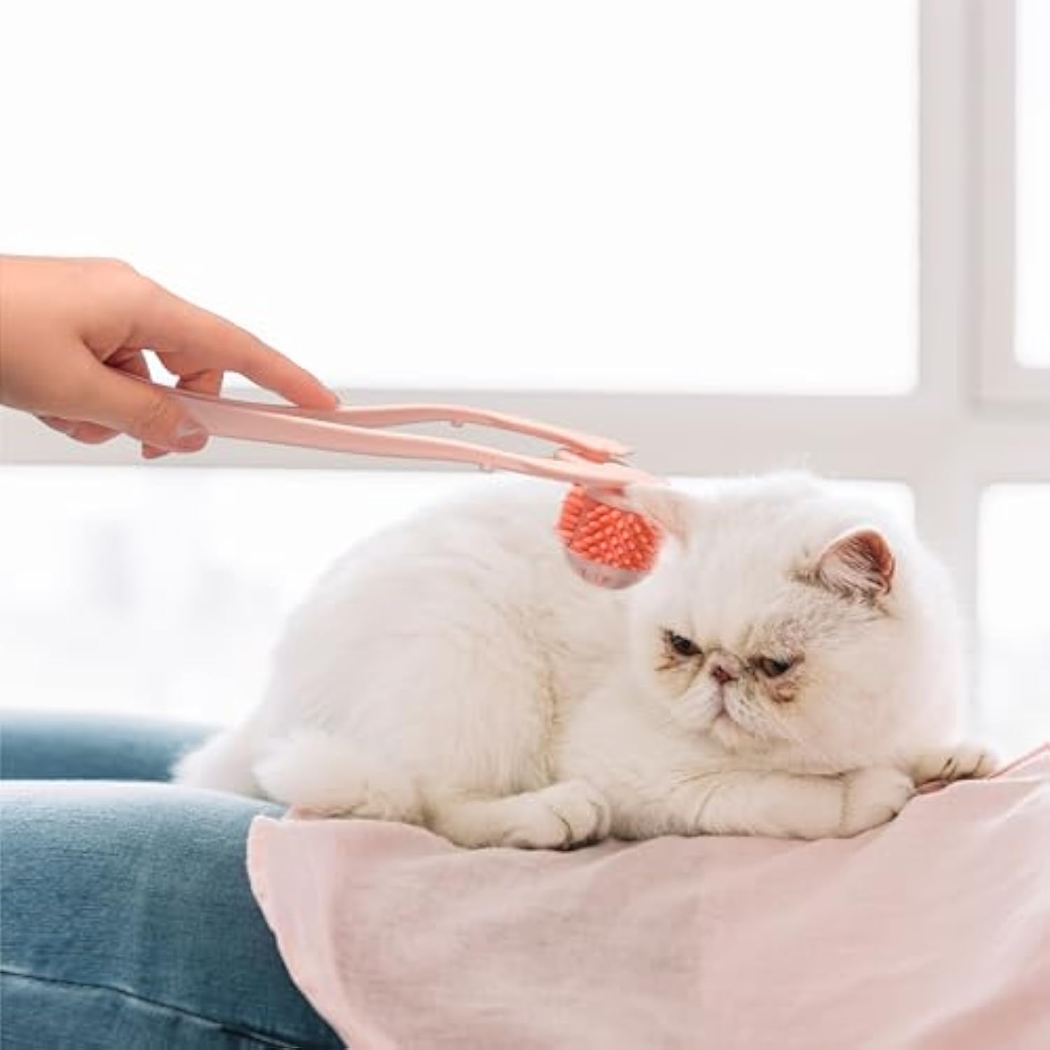 PurrSpa Gentle Cat Face Massager – Relax, Bond & Reduce Shedding