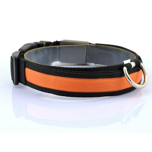 GlowSafe LED Dog Collar – Stress-Free Night Walks, Total Visibility