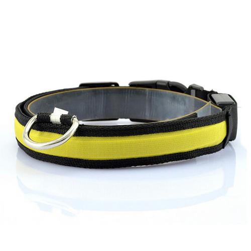 GlowSafe LED Dog Collar – Stress-Free Night Walks, Total Visibility