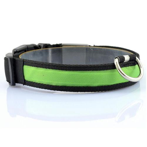 GlowSafe LED Dog Collar – Stress-Free Night Walks, Total Visibility