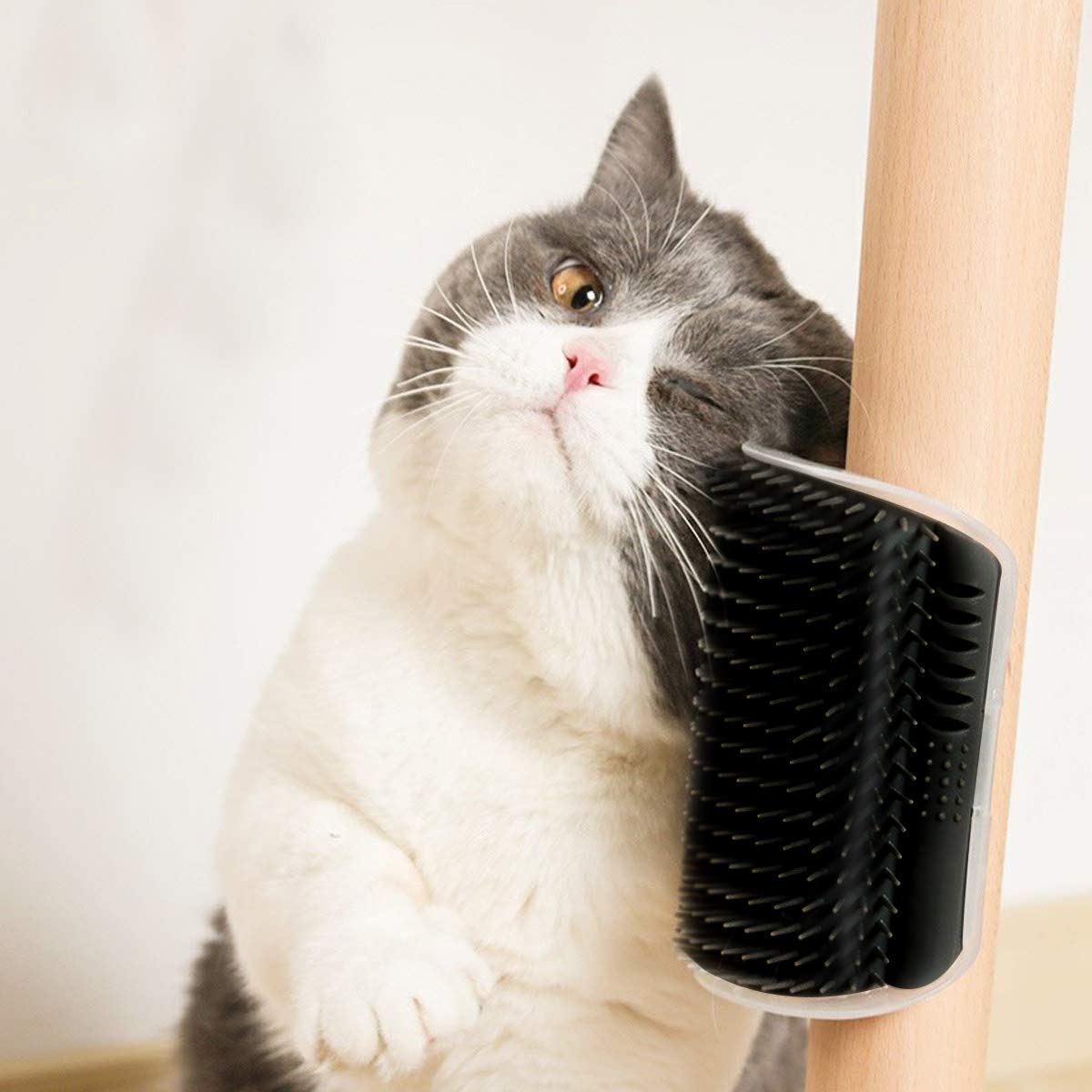 Self-Grooming Cat Arch – Stress-Free Fur Care & Happy Playtime