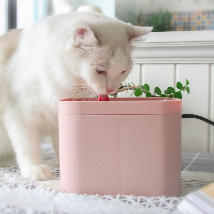 HydraFlow Smart Cat Fountain – Fresh Water, Happy Pets